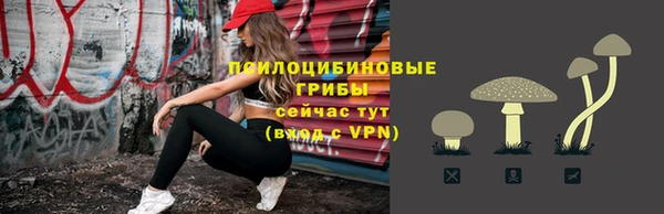 мдпв Осташков