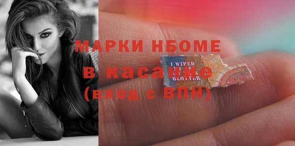 мдпв Осташков