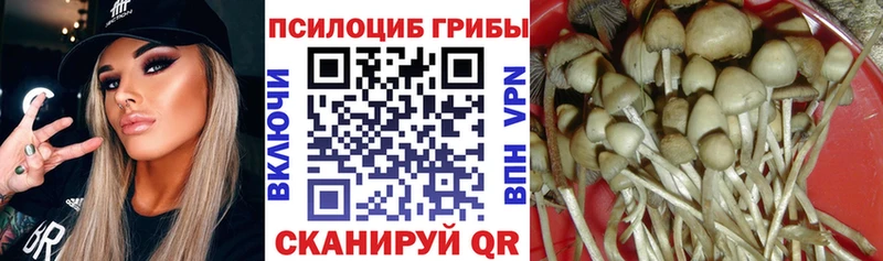 Псилоцибиновые грибы прущие грибы  Алексин 