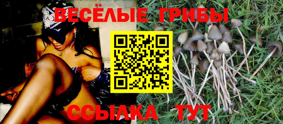 Псилоцибиновые грибы GOLDEN TEACHER Алексин