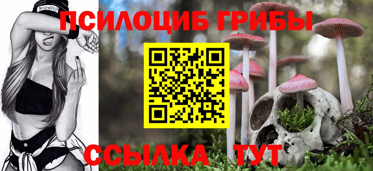 Галлюциногенные грибы Cubensis  Алексин 