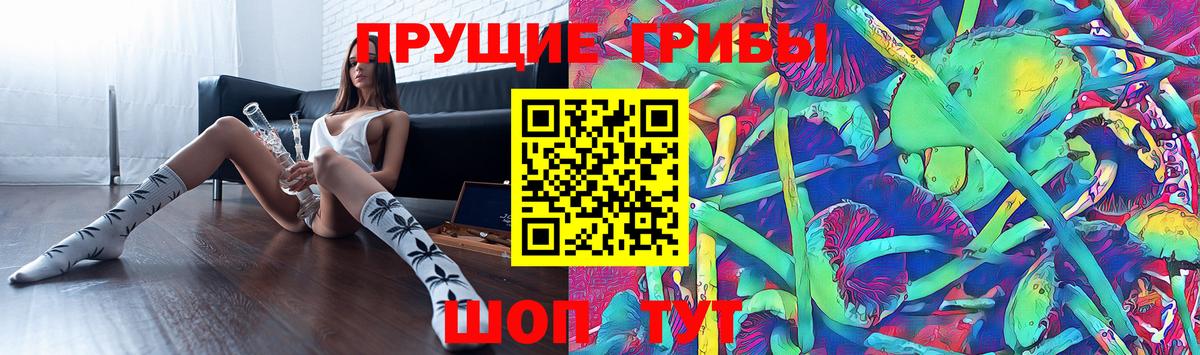 Псилоцибиновые грибы мицелий Алексин