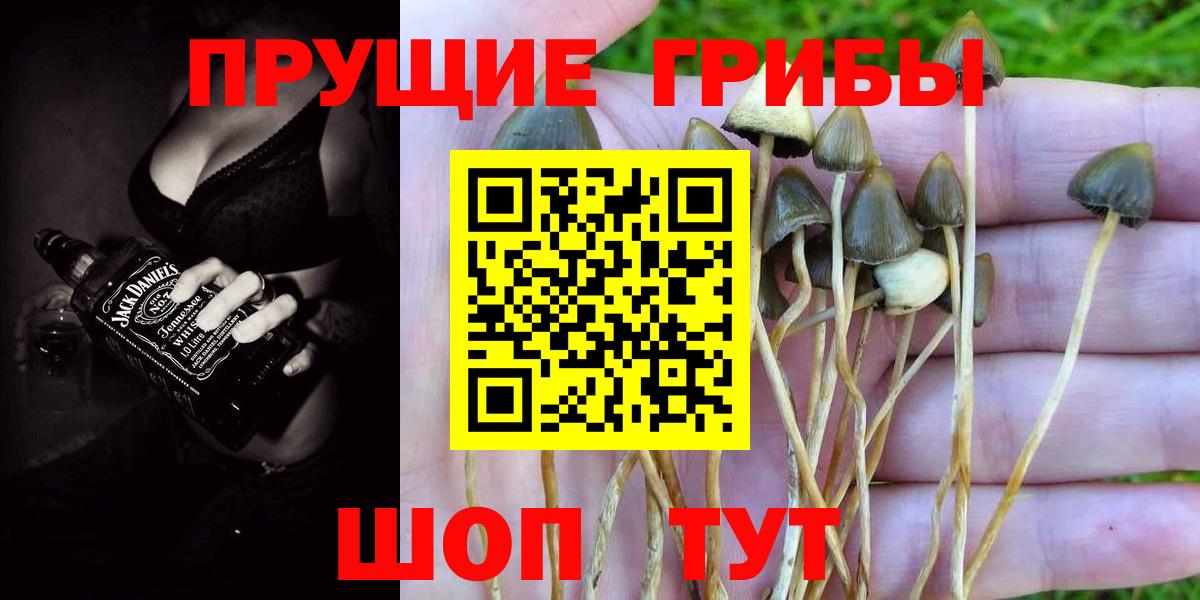 Алексин  Галлюциногенные грибы MAGIC MUSHROOMS  Вход с VPN 